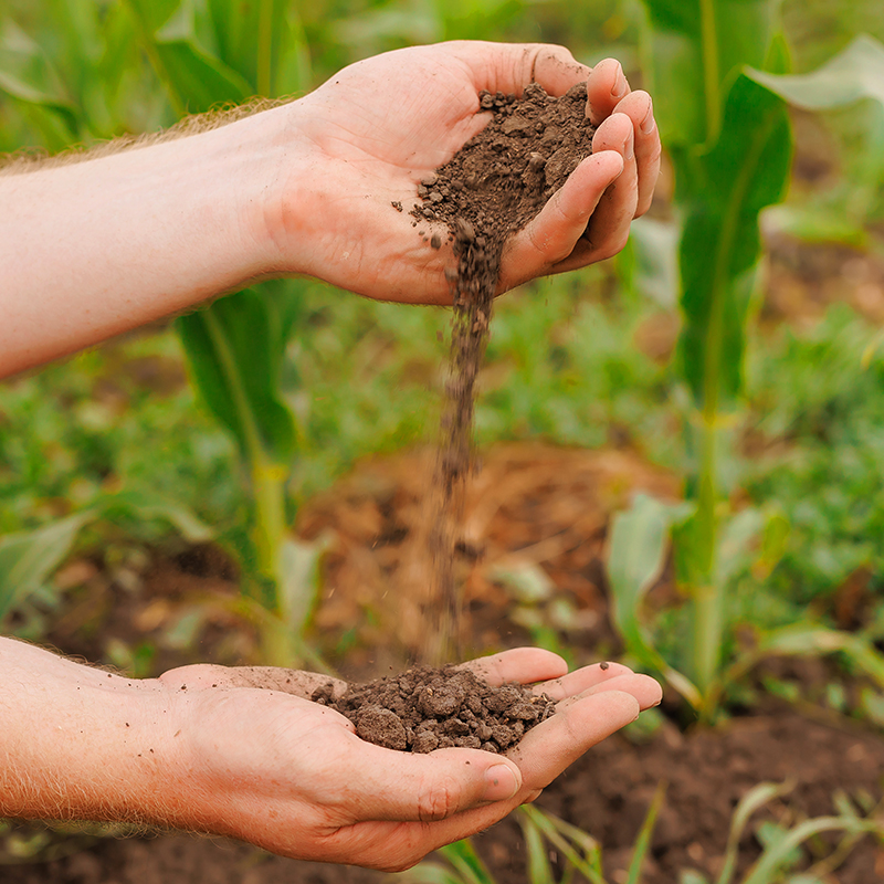 Комплексное удобрение
